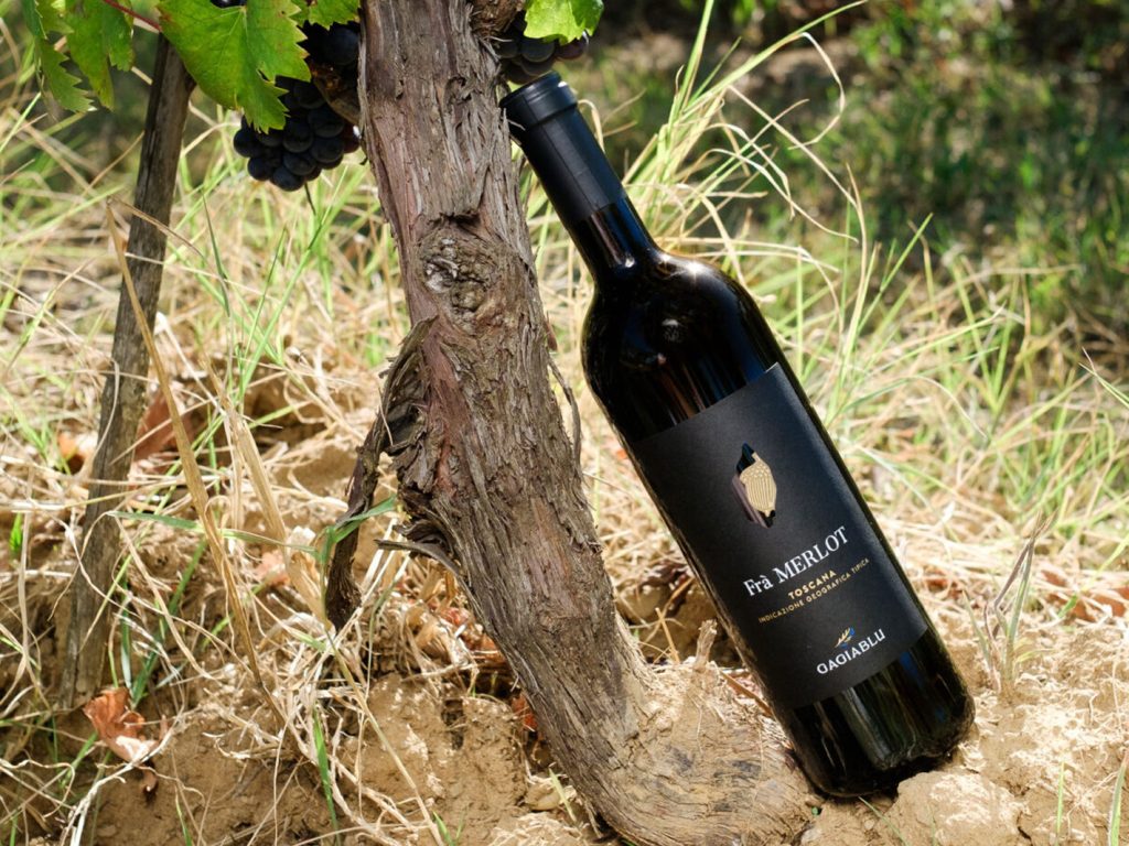 Bottiglia di vino Merlot GagiaBlu appoggiata al tronco di una vite tra erba secca e grappoli neri