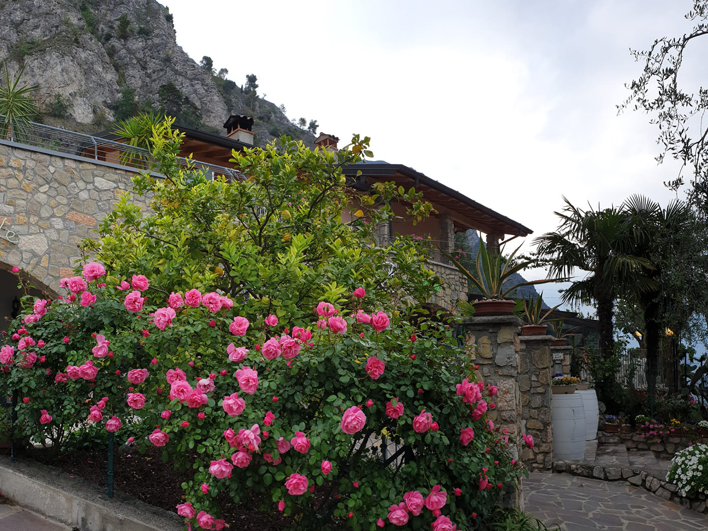 Ingresso in pietra della Locanda Augusta con cespugli di rose rosa e pareti rocciose alle spalle